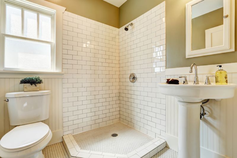 Bathroom Renovation Highlight